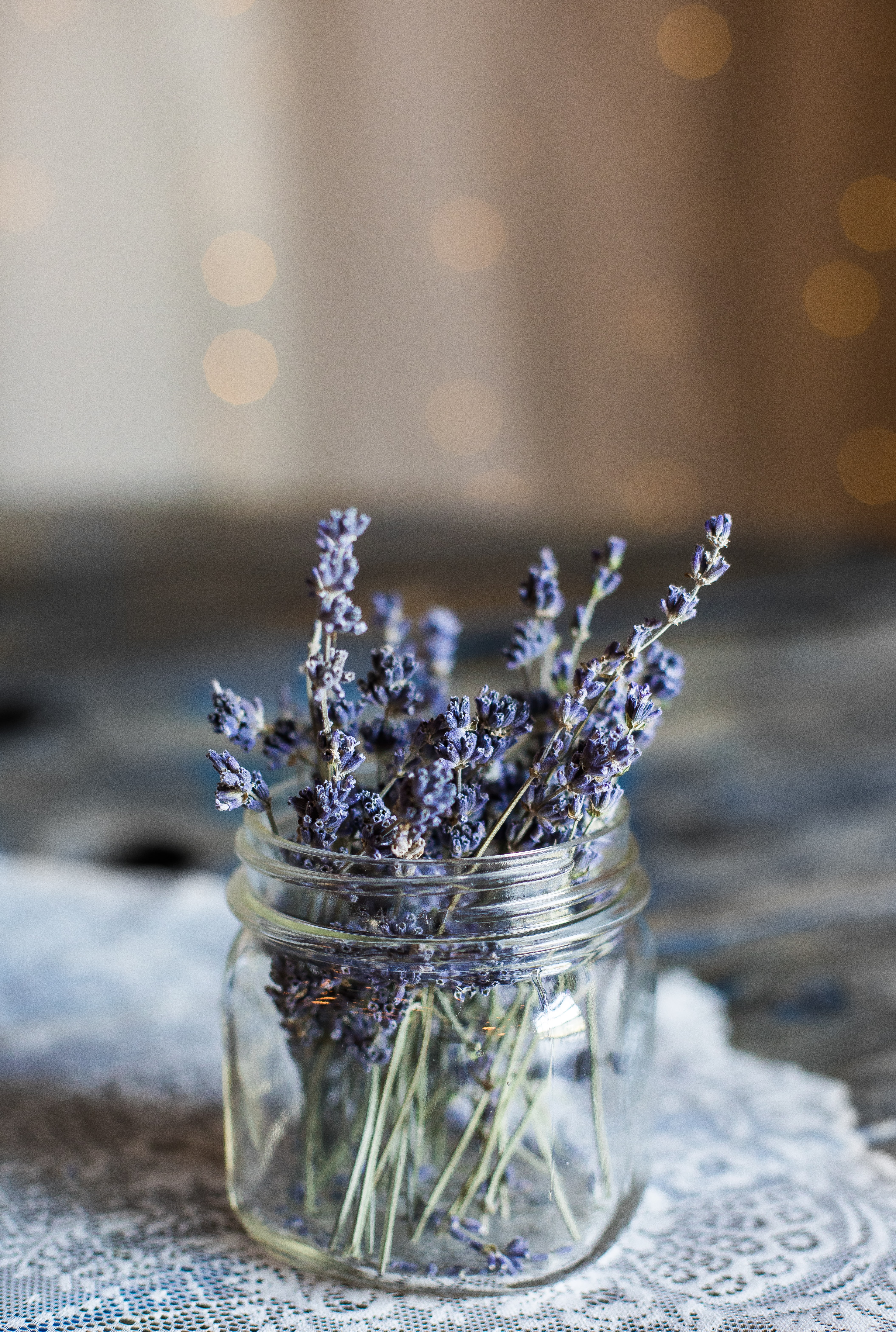 Dry Herbs Juniper Lavender Making Potions Stock Photo 1548713369